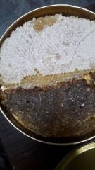 Metal Kutu Petek Bal - 1 KG