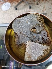 Şemdinli Orman Balı